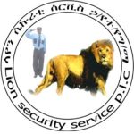Lion Security Service PLC